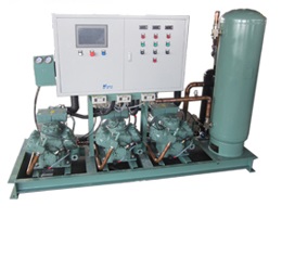 比澤爾活塞并聯機組